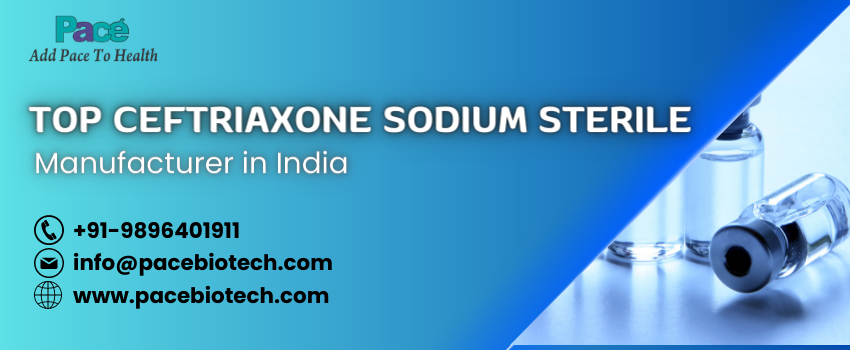 Important Steps Taken by the Top Cefotaxime Sodium Sterile Injection Manufacturers in India | Pacebiotech